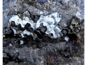 kvarc (kalcedon) fotó