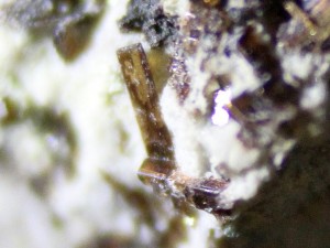 fluororichterit (amfibolok) fotó