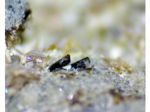 magneziohornblende (amfibolok) fotó