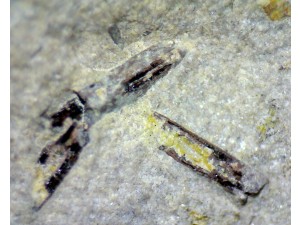 magneziohornblende (amfibolok) fotó