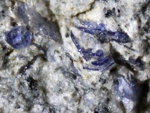 korund (zafír) foto