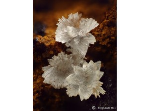 hemimorfit foto