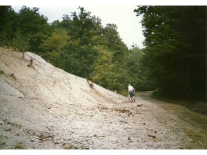 lelőhelyfotó