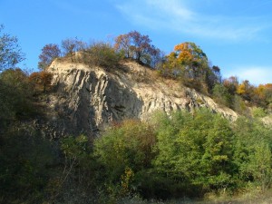 lelőhelyfotó