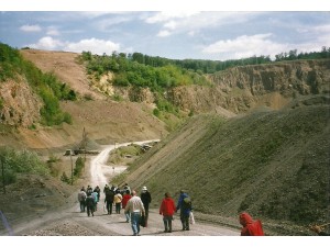 lelőhelyfotó