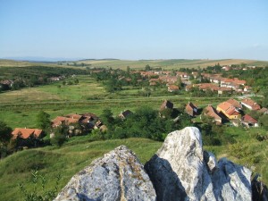 lelőhelyfotó