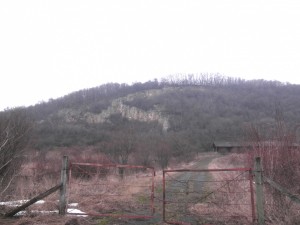 lelőhelyfotó