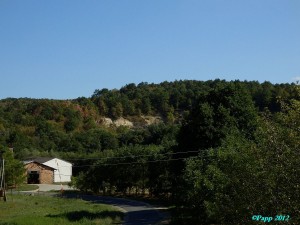 lelőhelyfotó