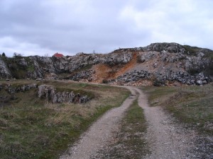 lelőhelyfotó