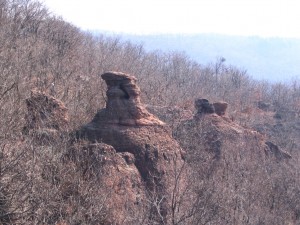 lelőhelyfotó