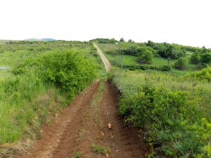 lelőhelyfotó